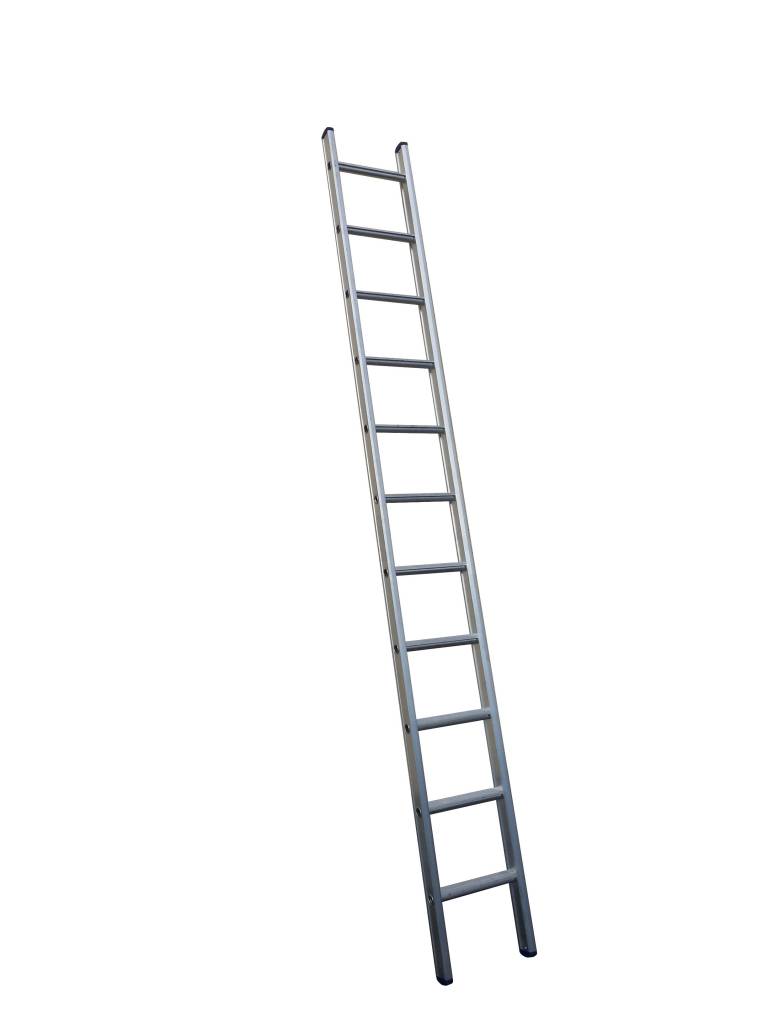 Little Jumbo 1250100112 Enkele ladder - 12 Sporten - 3,25m